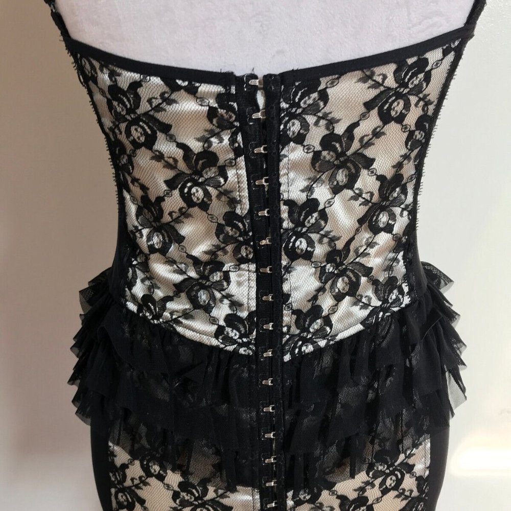 Lip Service Vintage Vaudeville Vamps Gothic Victorian Lace & Mesh Dress XS - Picture 7 of 8